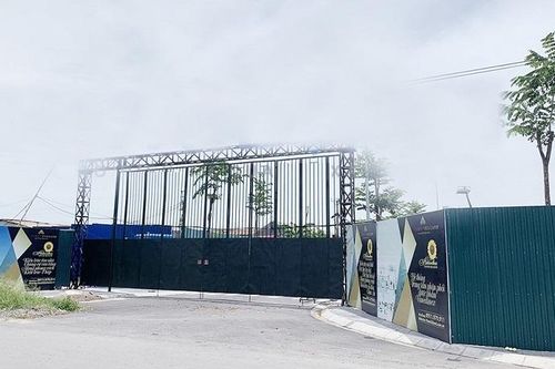 Nữ Chủ tịch Công ty Dược phẩm Vimedimex bị truy tố vì dìm giá đất