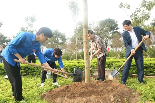 Hà Nội tiếp tục được phủ xanh