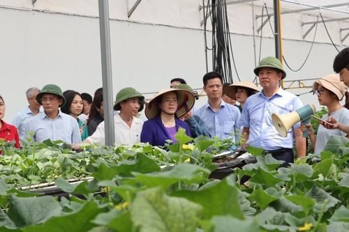 Hà Nội đẩy mạnh tái cơ cấu nông nghiệp