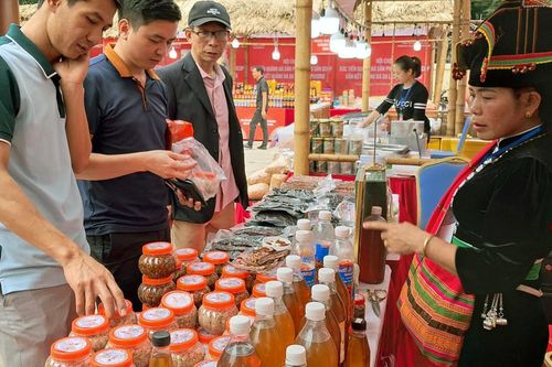 Đồng hành cùng Sơn Tây quảng bá nông sản du lịch địa phương