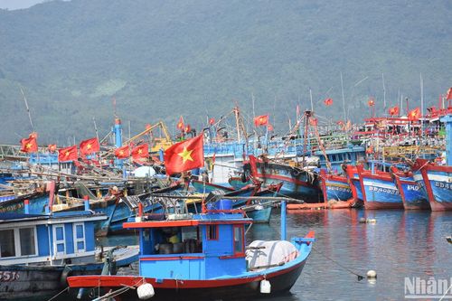 Ngư dân miền trung tất bật chuẩn bị cho chuyến biển đầu năm