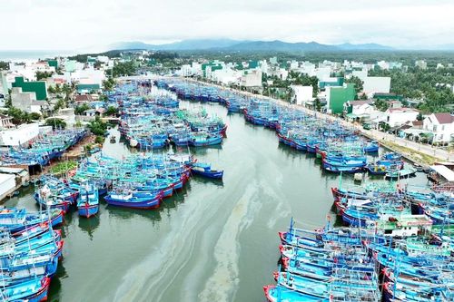 Miền Trung: Đầu xuân, khát lao động biển