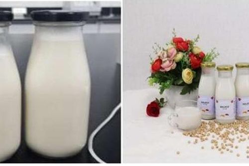 Sữa từ các loại hạt không ăn được