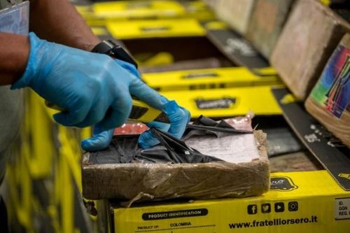 Costa Rica phá thành công chuyên án ma túy xuyên quốc gia quy mô cực lớn