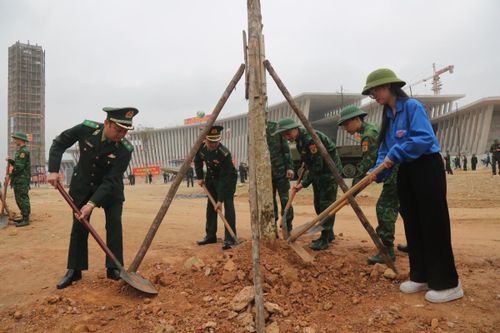 Lan tỏa phong trào 'Tết trồng cây đời đời nhớ ơn Bác Hồ'