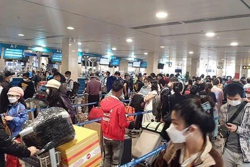 Yêu cầu báo cáo việc giá vé máy bay 'nhảy múa' dịp Tết
