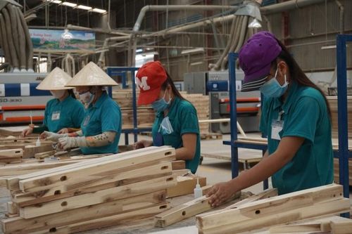Tin tức kinh tế ngày 22/2: Nhiều doanh nghiệp dệt may, đồ gỗ đã có đơn hàng đến giữa năm