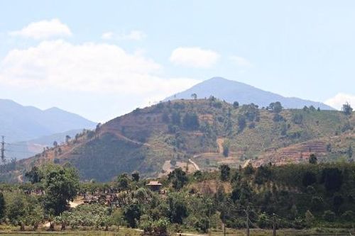 Huyền thoại 'nữ chúa rừng xanh' Lâm Đồng thu phục binh sĩ bằng loại nước thần bí