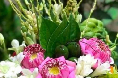 Những loài hoa đặc biệt cúng Rằm tháng Giêng vừa thơm hương vừa phú quý