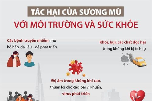 Tác hại của sương mù với môi trường và sức khỏe