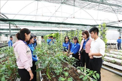 Tám tiêu chí dự án khoa học và công nghệ thuộc Chương trình công nghệ cao