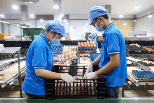 TP Hồ Chí Minh: Tổ chức 17 sự kiện, hoạt động hỗ trợ doanh nghiệp trong năm 2024