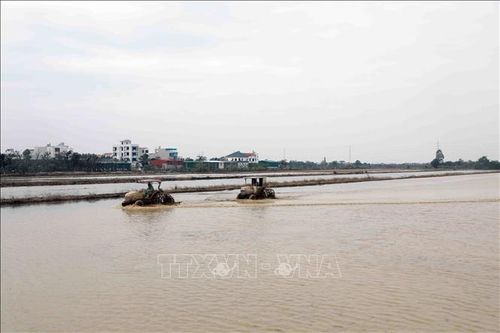 Hải Dương: 11/12 địa phương hoàn thành đổ ải