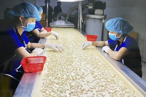 Nhiều dư địa tăng trưởng xuất khẩu điều trong năm 2024