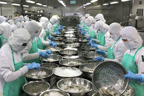 Kiên Giang: Kim ngạch xuất khẩu tăng gấp 2 lần so với cùng kỳ