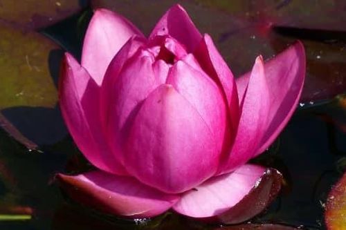 Nếu một người có 'ba tính tốt' sau đây thì vận may không ở đâu xa với bạn, hãy xem bạn có không?