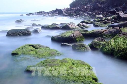 Đà Nẵng sắp có công viên sinh thái mới phía Tây Bắc thành phố