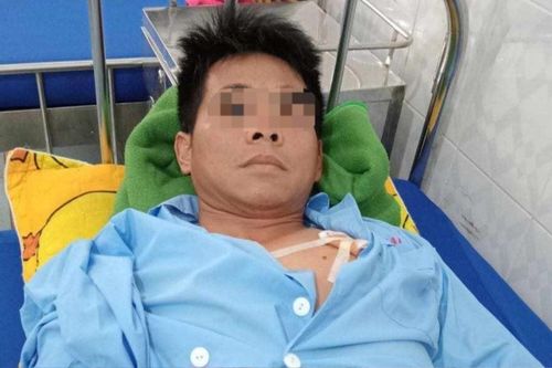 Nuôi chó dữ, chủ nhà bị cắn phải nhập viện cấp cứu