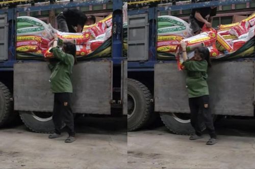 Mẹ bầu 8 tháng đi bốc vác kiếm tiền nuôi con và câu chuyện xót xa khiến nhiều người rơi nước mắt