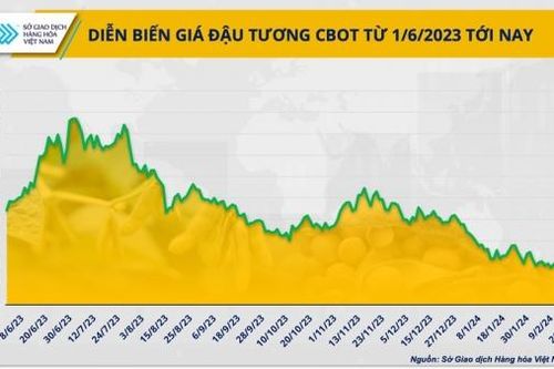 Đậu tương Argentina sẽ hấp dẫn các doanh nghiệp chăn nuôi trong năm 2024