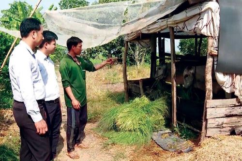 Tạo sinh kế giảm nghèo ở huyện Châu Phú