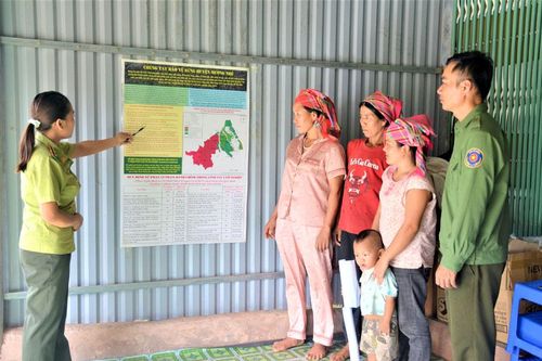 Nỗ lực giữ màu xanh cho rừng