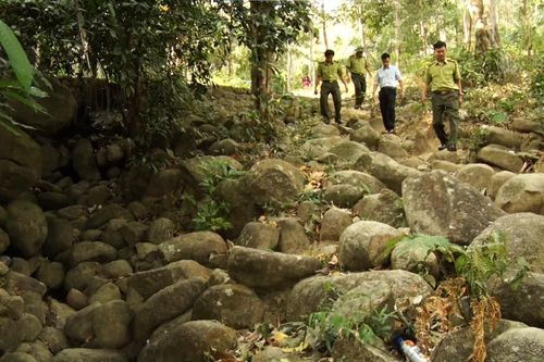 Trực gác 24/24 phòng chống cháy rừng trên núi Chứa Chan