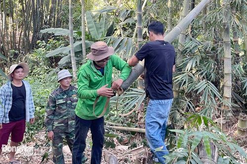 Khắp nơi trong tỉnh trưa ngày 22-2-2024