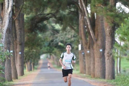 Điền kinh Gia Lai sẵn sàng chinh phục Tiền Phong Marathon 2024