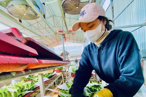 Đak Đoa chỉ đạo hỗ trợ cho doanh nghiệp nhỏ và vừa
