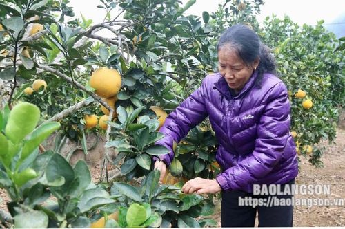 Người có uy tín nêu gương sáng