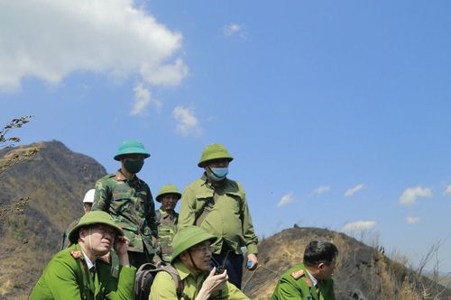 Thông tin thông suốt góp phần chữa cháy rừng hiệu quả