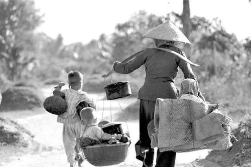 Đôi chân mẹ