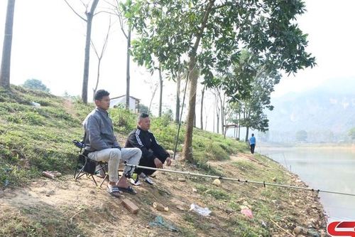 Phát triển mô hình dịch vụ hồ câu cá