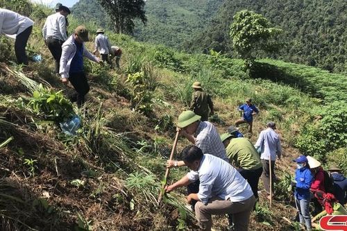 Lựa chọn nội dung đột phá, xây dựng mô hình hay, cách làm hiệu quả