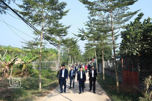 Khởi sắc Phúc Thuận
