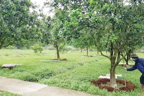 Phát triển nông nghiệp tuần hoàn, công nghệ cao