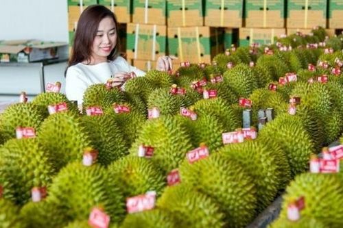 Tăng tài trợ thương mại có thể giúp xuất khẩu của Việt Nam thêm 55 tỷ USD mỗi năm