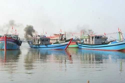 Ngư dân phấn khởi với 'lộc biển' đầu xuân