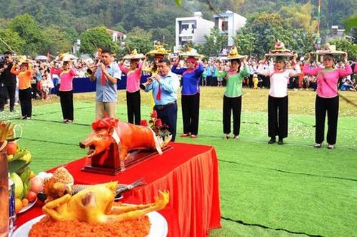 Lào Cai: Người Giáy ở Quang Kim xuống đồng thi cày ruộng đầu xuân