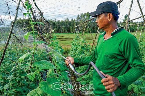 Ðảm bảo nước sinh hoạt, sản xuất mùa khô