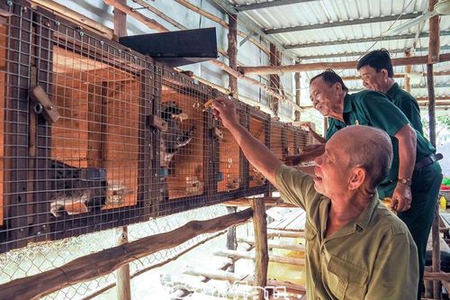 Cựu chiến binh tiên phong làm kinh tế