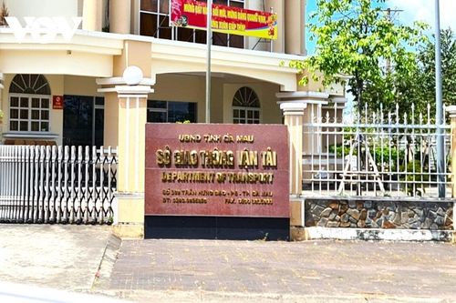 Dùng bằng không hợp pháp, Phó Chánh Thanh tra Sở GTVT Cà Mau bị buộc thôi việc