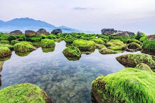 Đà Nẵng đầu tư công viên sinh thái, quảng trường ghềnh Nam Ô