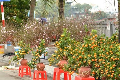Hai cách ứng xử