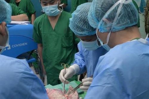 'Tạo nguồn' cho ghép tạng