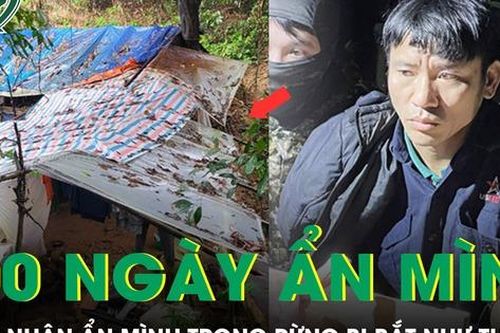 Hơn 600 ngày sống chui lủi trong rừng sâu, kẻ sát nhân đã bị bắt như thế nào?