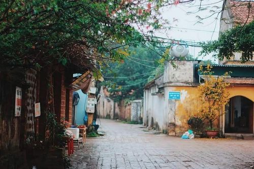 Vị làng ở Đường Lâm