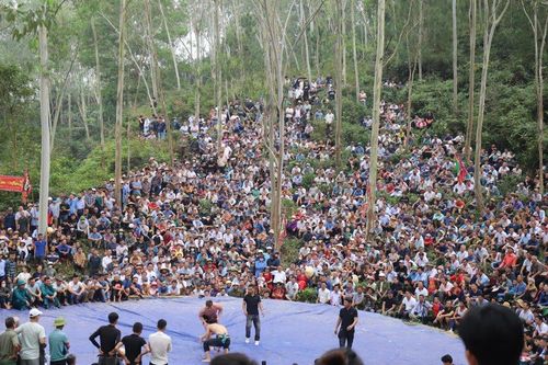Hàng trăm người chen nhau xem đô vật thi đấu tại lễ hội đền Vua Mai