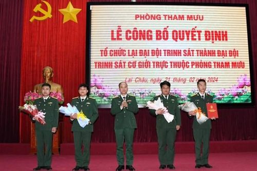 Giải thể, tổ chức lại Đại đội, Trung đội Bộ Chỉ huy Quân sự tỉnh